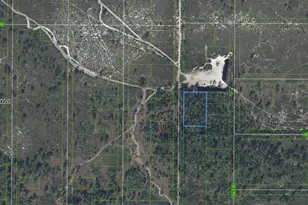 881 Papaya St, Lake Placid, FL 33852 - Photo 1