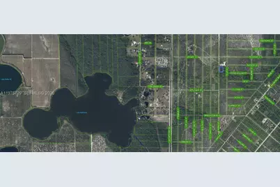 881 Papaya Street, Lake Placid, FL 33852 - Photo 2