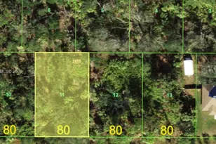 14224 Mary Jo Ave, Port Charlotte, FL 33953 - Photo 1