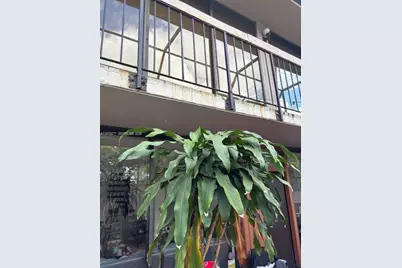 3190 Bird Ave #15, Coconut Grove, FL 33133 - Photo 14