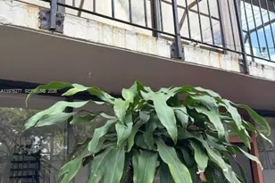 3190 Bird Ave, Coconut Grove, FL 33133 - Photo 14