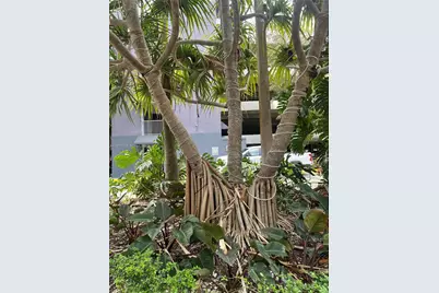 850 N Miami Ave #W-1806, Miami, FL 33136 - Photo 22