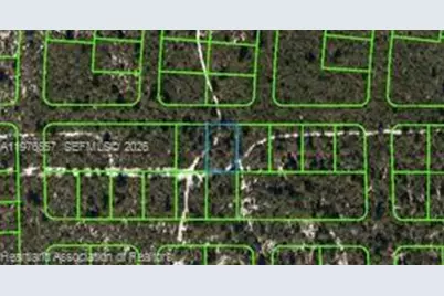 437 Souvenir Lane, Lake Placid, FL 33852 - Photo 4