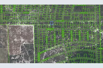 437 Souvenir Lane, Lake Placid, FL 33852 - Photo 2