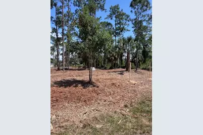 718 Columbus Avenue, Lehigh Acres, FL 33972 - Photo 2