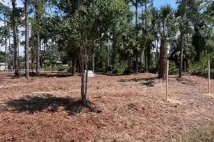 718 Columbus Ave, Lehigh Acres, FL 33972 - Photo 2