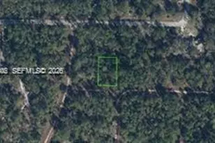 3215 Delafield, Lake Placid, FL 33852 - Photo 1