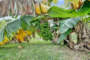 11181 NW 26th Dr, Coral Springs, FL 33065 - Photo 60