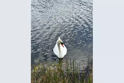 [Address not provided], Miramar, FL 33027 - Photo 6