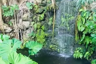 2951 S Bayshore Dr, Coconut Grove, FL 33133 - Photo 12