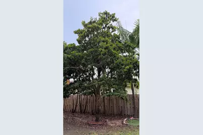 2007 NE 6th Ct, Homestead, FL 33033 - Photo 86