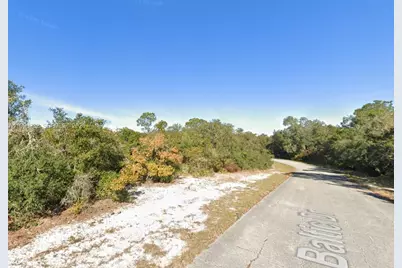 1238 Baltic Dr, Kissimmee, FL 34759 - Photo 4