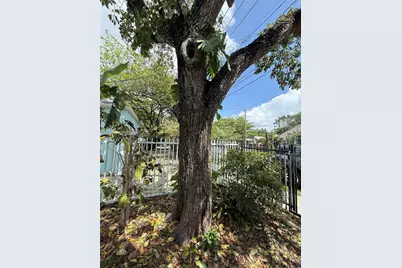 294 NE 57th St, Miami, FL 33137 - Photo 36