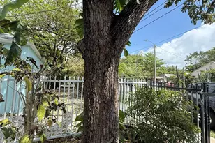 294 NE 57th St, Miami, FL 33137 - Photo 36