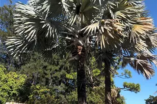 749 NW 43rd St, Oakland Park, FL 33309 - Photo 36