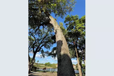 3212 Arbor Ln #2407, Hollywood, FL 33021 - Photo 32