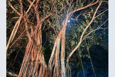 511 Ives Dairy Rd #301-6, Miami, FL 33179 - Photo 70