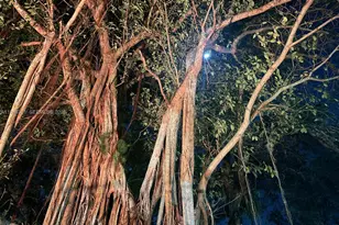 511 Ives Dairy Rd, Miami, FL 33179 - Photo 70