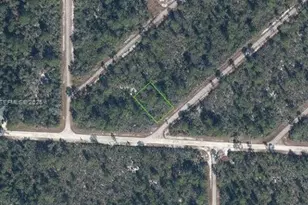 3543 Venetia, Lake Placid, FL 33852 - Photo 1