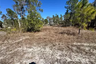 761 Lehigh Acres, Lehigh Acres, FL 33974 - Photo 8