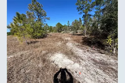 761 Lehigh Acres, Lehigh Acres, FL 33974 - Photo 6