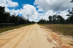 334 Oak Crest Dr, Other City - In The State Of Florida, FL 32148 - Photo 4