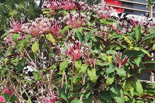 20400 W Country Club Dr, Aventura, FL 33180 - Photo 4