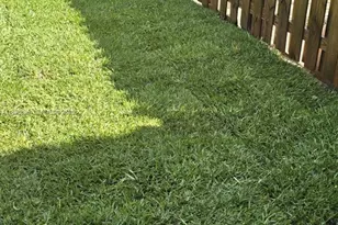 11867 SW 247th Ter, Homestead, FL 33032 - Photo 2