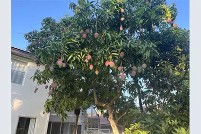 17731 SW 23rd St, Miramar, FL 33029 - Photo 30