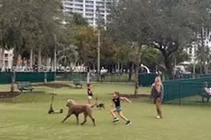 1750 N Bayshore Dr, Miami, FL 33132 - Photo 10