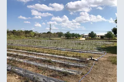 19550 SW 207 Ave, Miami, FL 33187 - Photo 2