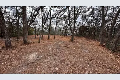 34349 Manuel St, Other City - In The State Of Florida, FL 33597 - Photo 4
