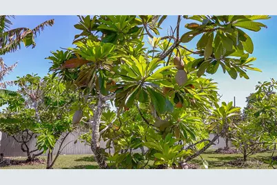 26500 SW 167th Ave, Homestead, FL 33031 - Photo 62