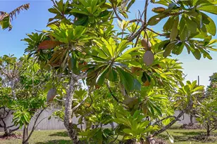 26500 SW 167th Ave, Homestead, FL 33031 - Photo 62