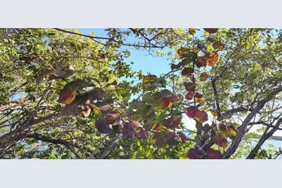 15585 SW 76th Ln #A81-8, Miami, FL 33193 - Photo 48