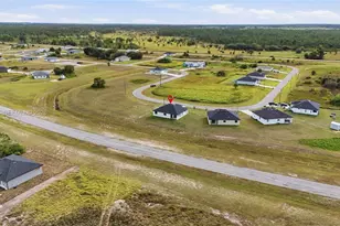 9027 Bamboo Cir, Labelle, FL 33935 - Photo 44