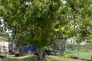 29925 SW 143rd Ct, Homestead, FL 33033 - Photo 32