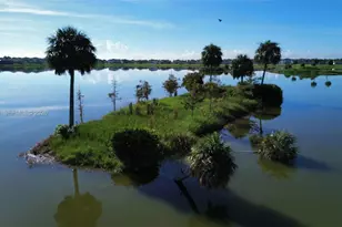 19148 N Broad Shore Walk, Loxahatchee, FL 33470 - Photo 56