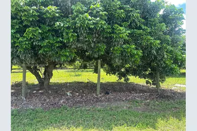 206Xx SW 344 St, Homestead, FL 33034 - Photo 10