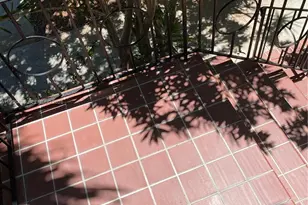 40 Almeria Ave, Coral Gables, FL 33134 - Photo 14