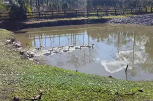 15780 N 62nd Pl N, Loxahatchee, FL 33470 - Photo 16