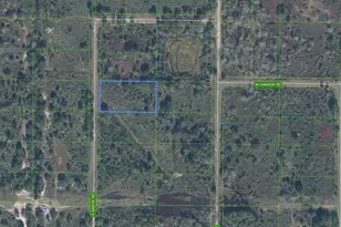 1335 S Griese Rd, Avon Park, FL 33825 - Photo 1