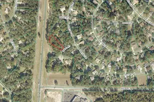 0 SW Sw 97 Pl Dunnellon, Ocala, FL 34432 - Photo 1