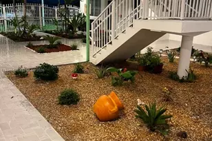 1719 Wiley St, Hollywood, FL 33020 - Photo 34