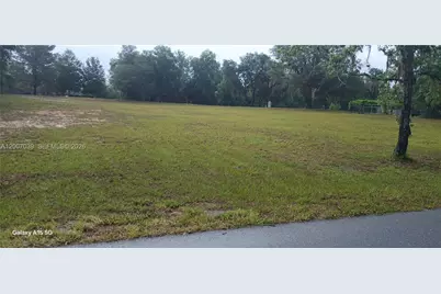 10233 S Appaloosa Ave, Floral City, FL 34436 - Photo 2