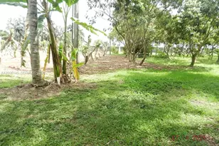 18950 SW 240th St, Homestead, FL 33031 - Photo 86