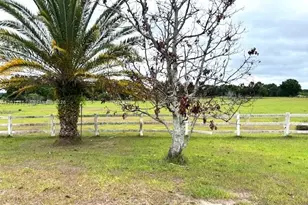 2416 Vance Ave, Lorida, FL 33857 - Photo 20