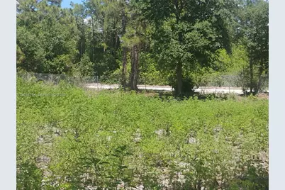 640 N Riverside St, Clewiston, FL 33440 - Photo 4