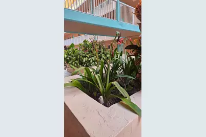 6801 Harding Ave #217, Miami Beach, FL 33141 - Photo 10