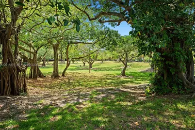 4091 Matheson Ave, Miami, FL 33133 - Photo 8